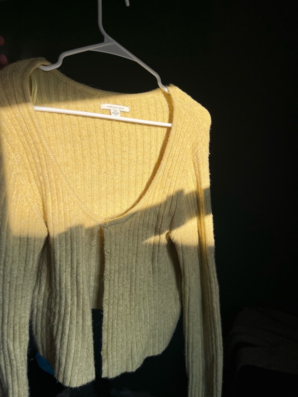 American Eagle Ribbed Button-Front Sweater